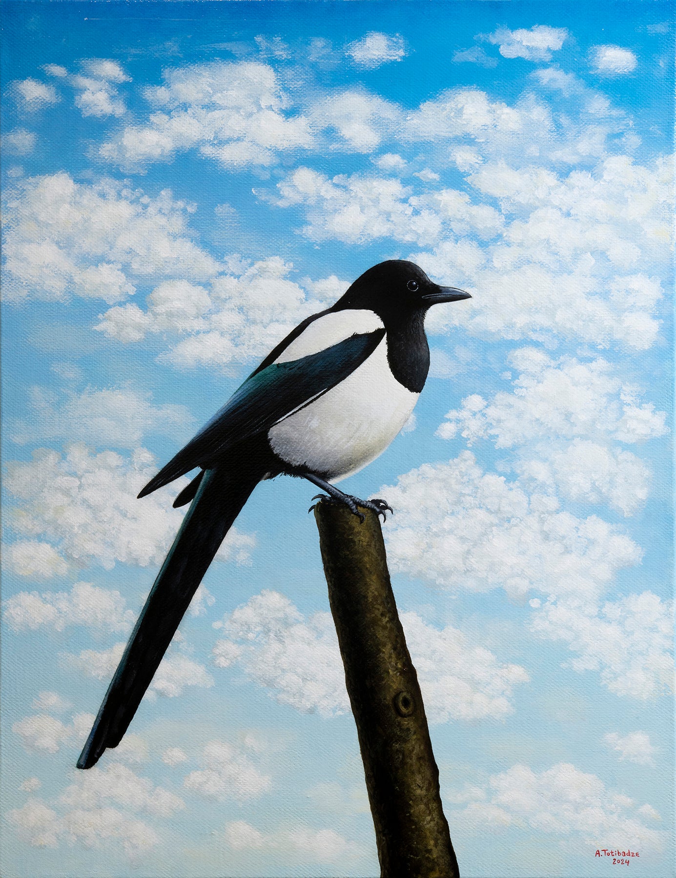 Magpie.