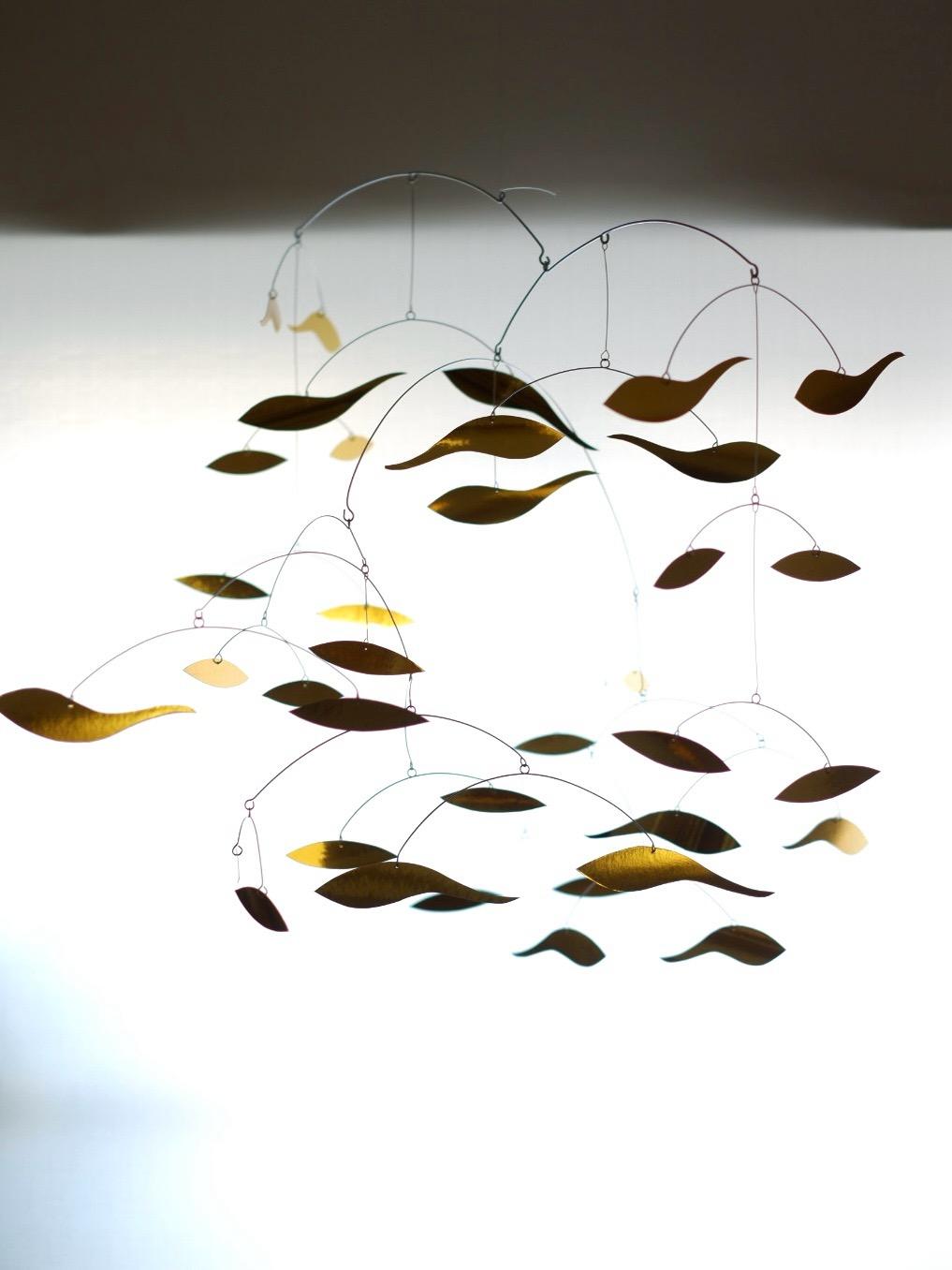 Flock of Fish