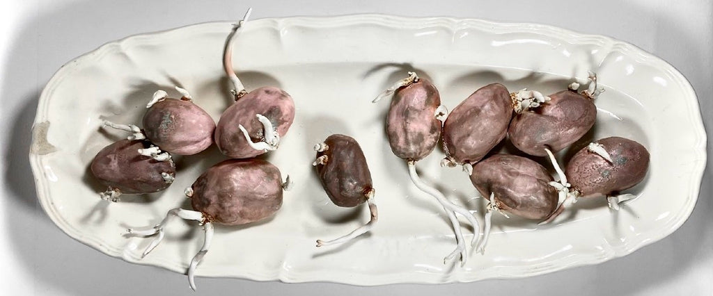 Pommes de terre dans une assiette
