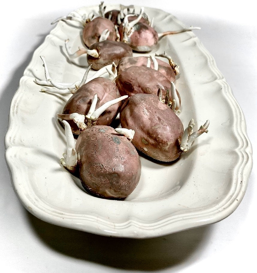 Pommes de terre dans une assiette