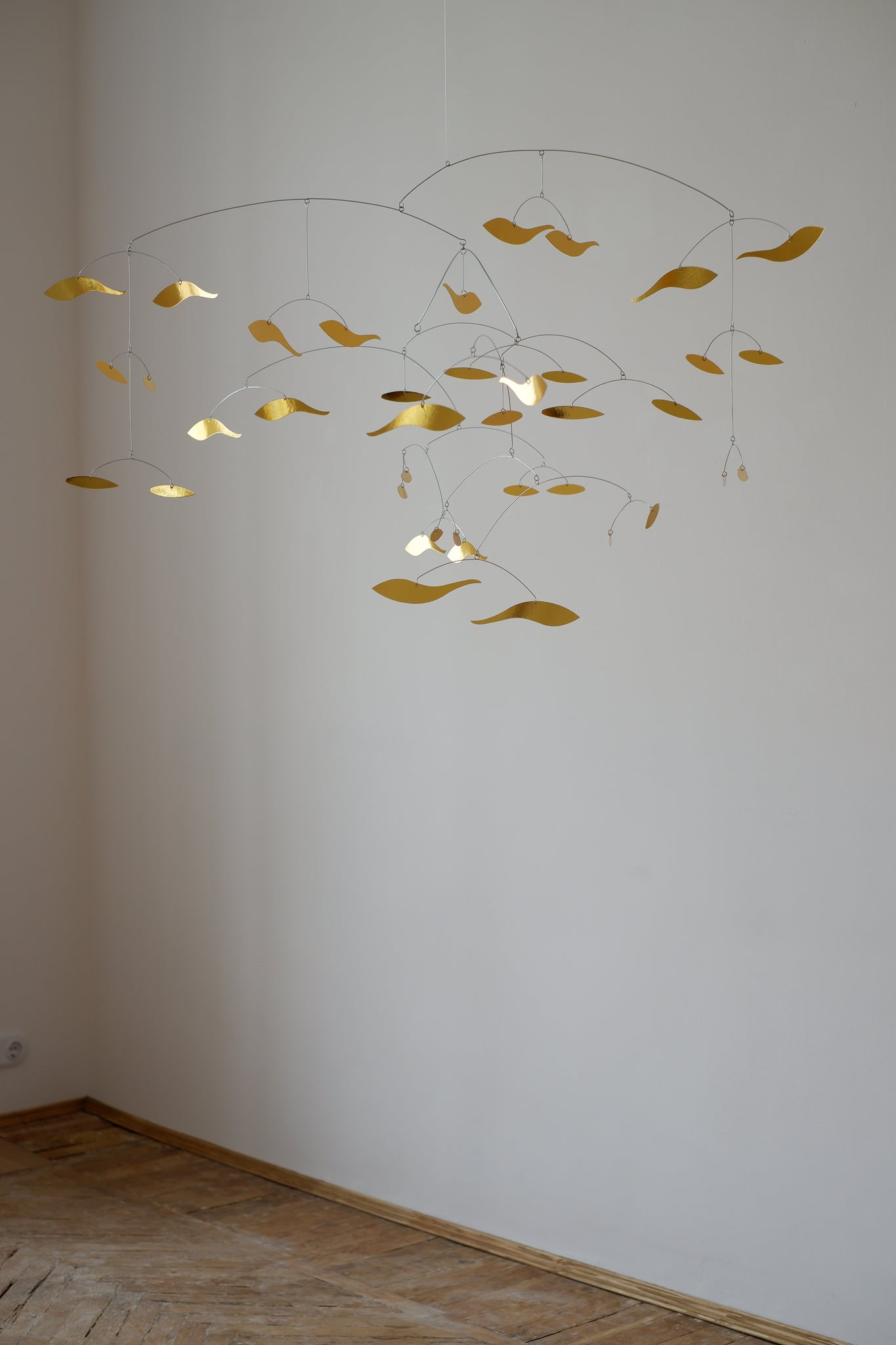 Flock of Fish