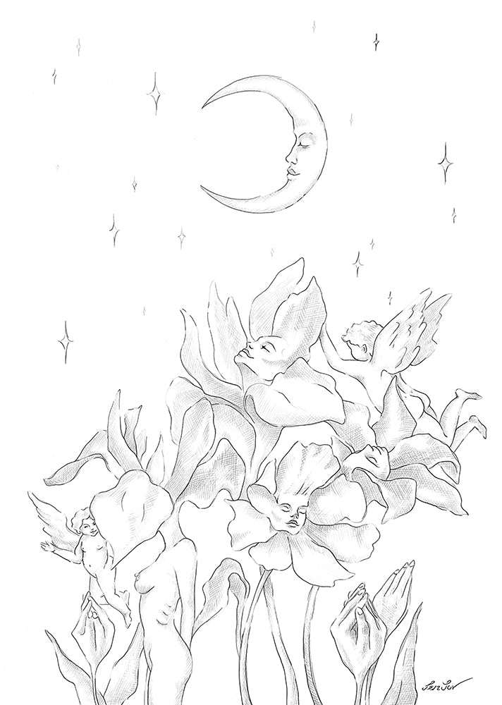 In the Shadows of Night Garden