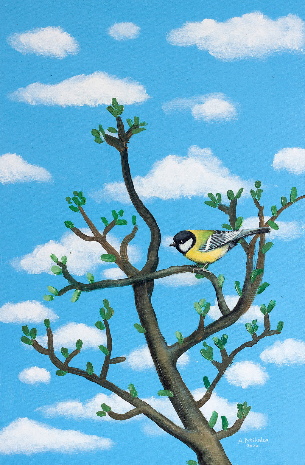 Mésange charbonnière.