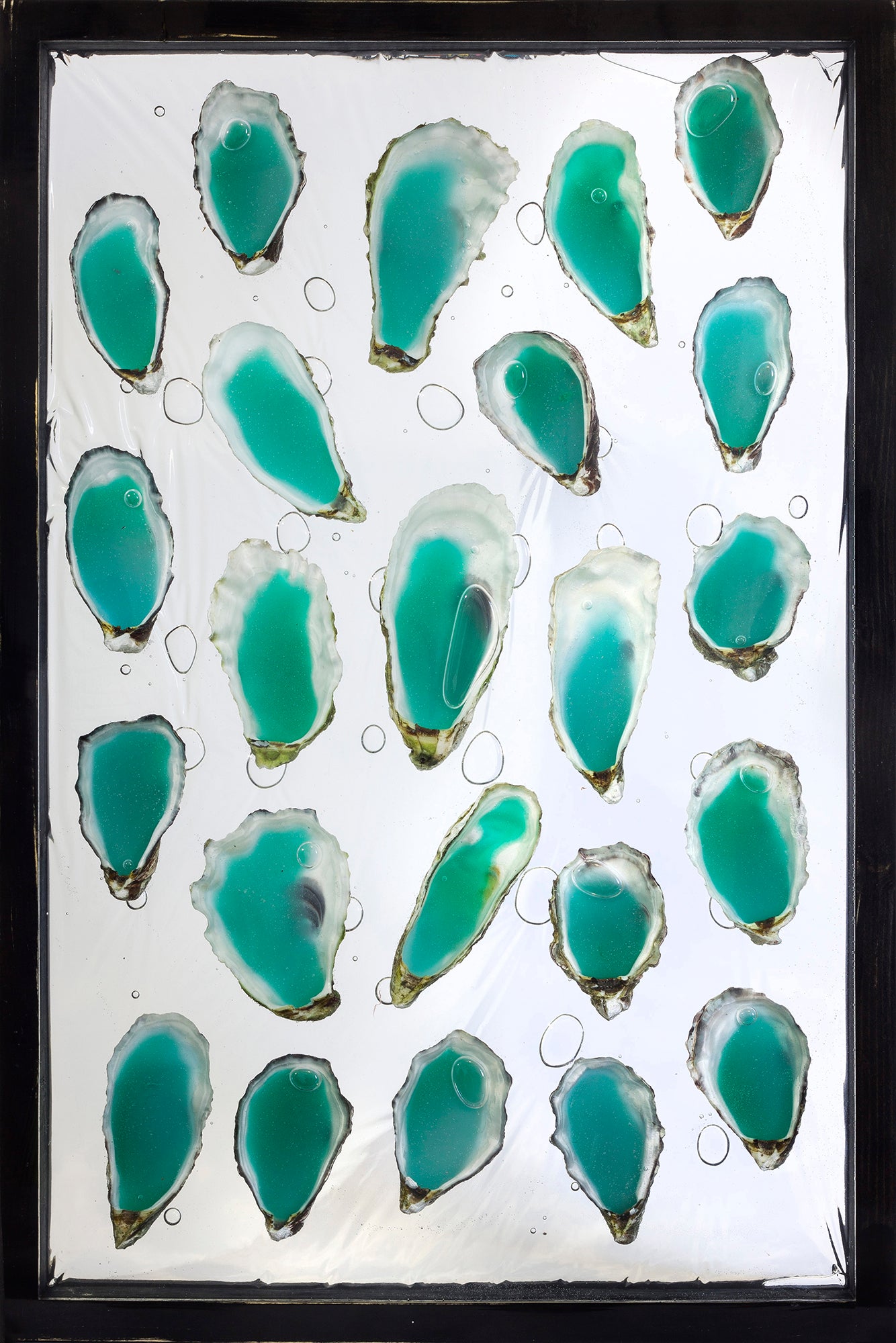 Treasures IV.