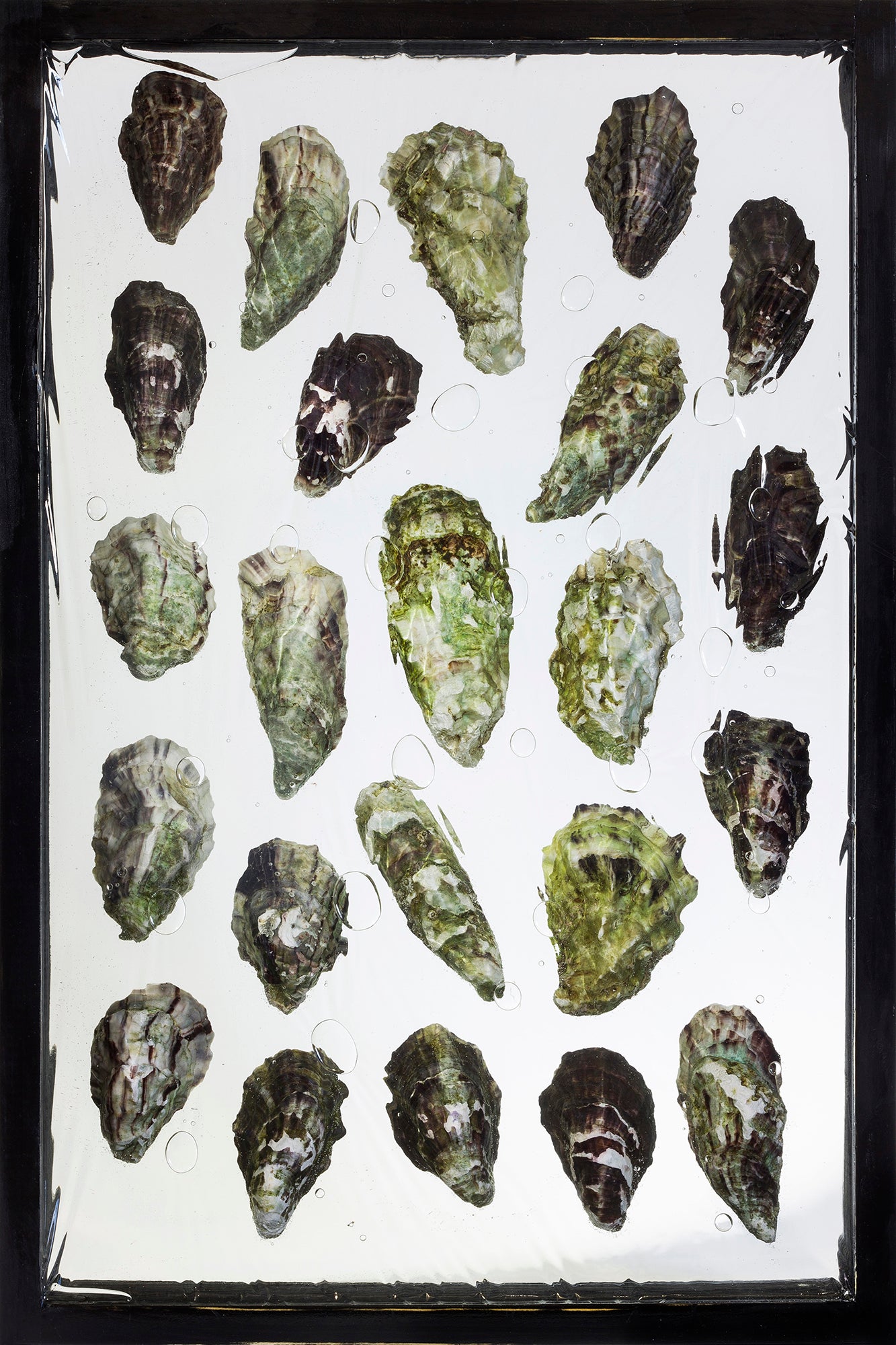 Treasures IV.
